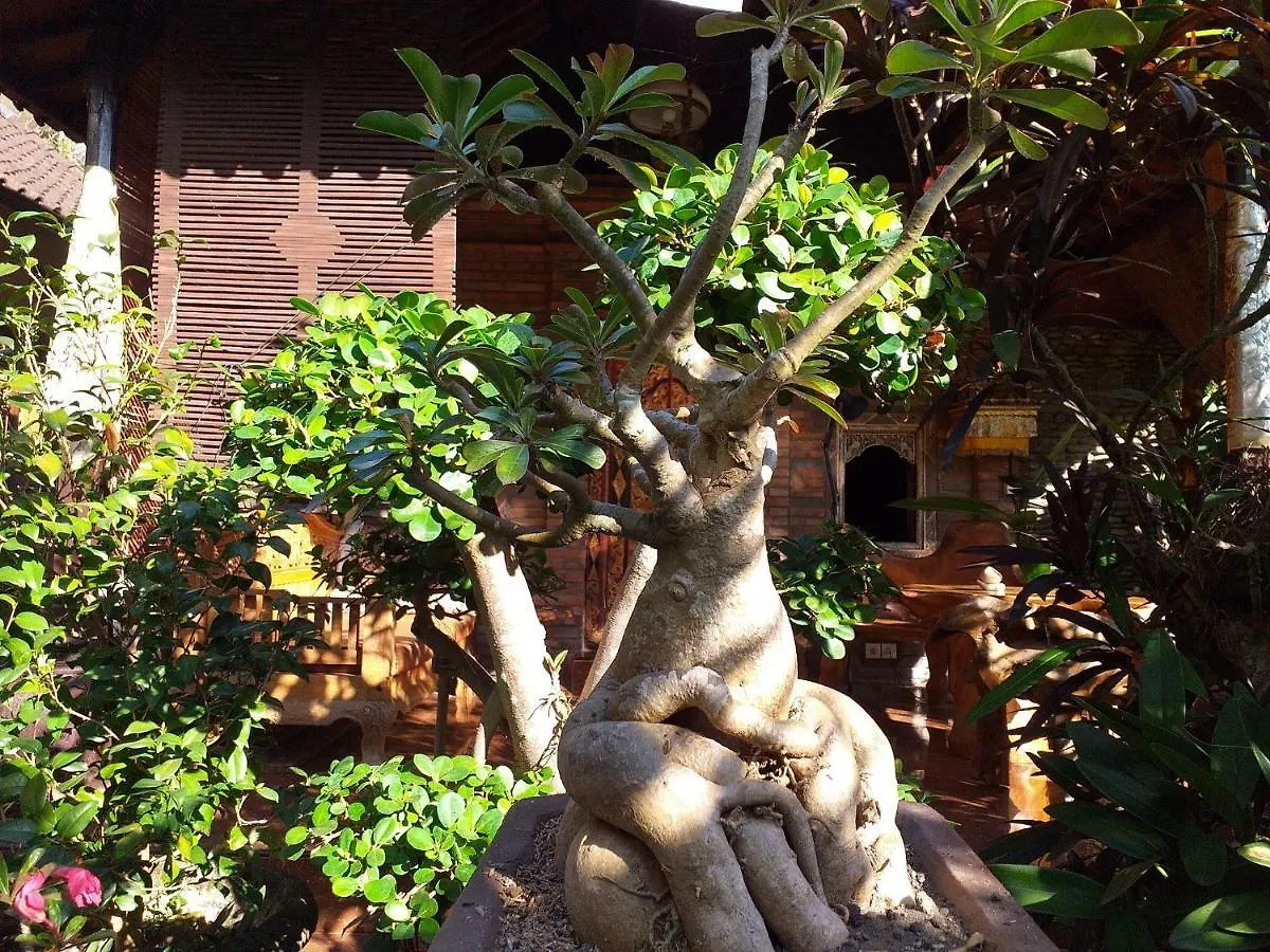 Puri Asri Bungalow Ubud