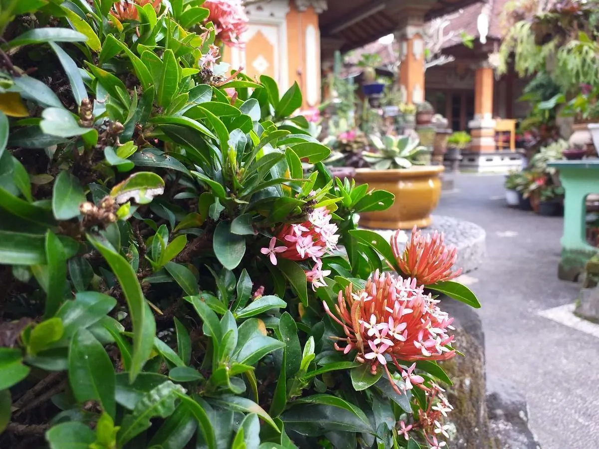 Puri Asri Bungalow Ubud Indonesia
