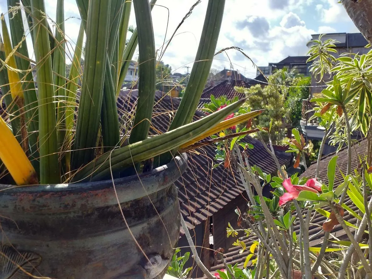 Puri Asri Bungalow Ubud